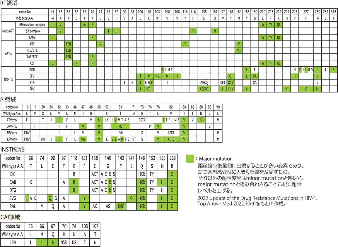 それぞれRT領域、PI領域、INSTI領域、CAI領域での薬剤耐性変異の表。背景が緑色のマスはMajor mutationであり、「薬剤投与後最初に出現することが多い変異であり、かつ薬剤感受性に大きく影響を及ぼすもの。それ以外の耐性変異はminor mutationと呼ばれ、major mutationと組み合わさることにより、耐性レベルを上げる。」としている。Major mutation：薬剤投与後最初に出現することが多い変異であり、かつ薬剤感受性に大きく影響を及ぼすもの。それ以外の耐性変異はminor mutationと呼ばれ、major mutationと組み合わさることにより、耐性レベルを上げる。2022 Update of the Drug Resistance Mutations in HIV-1. Top Antivir Med 2022.30(4)をもとに作成。