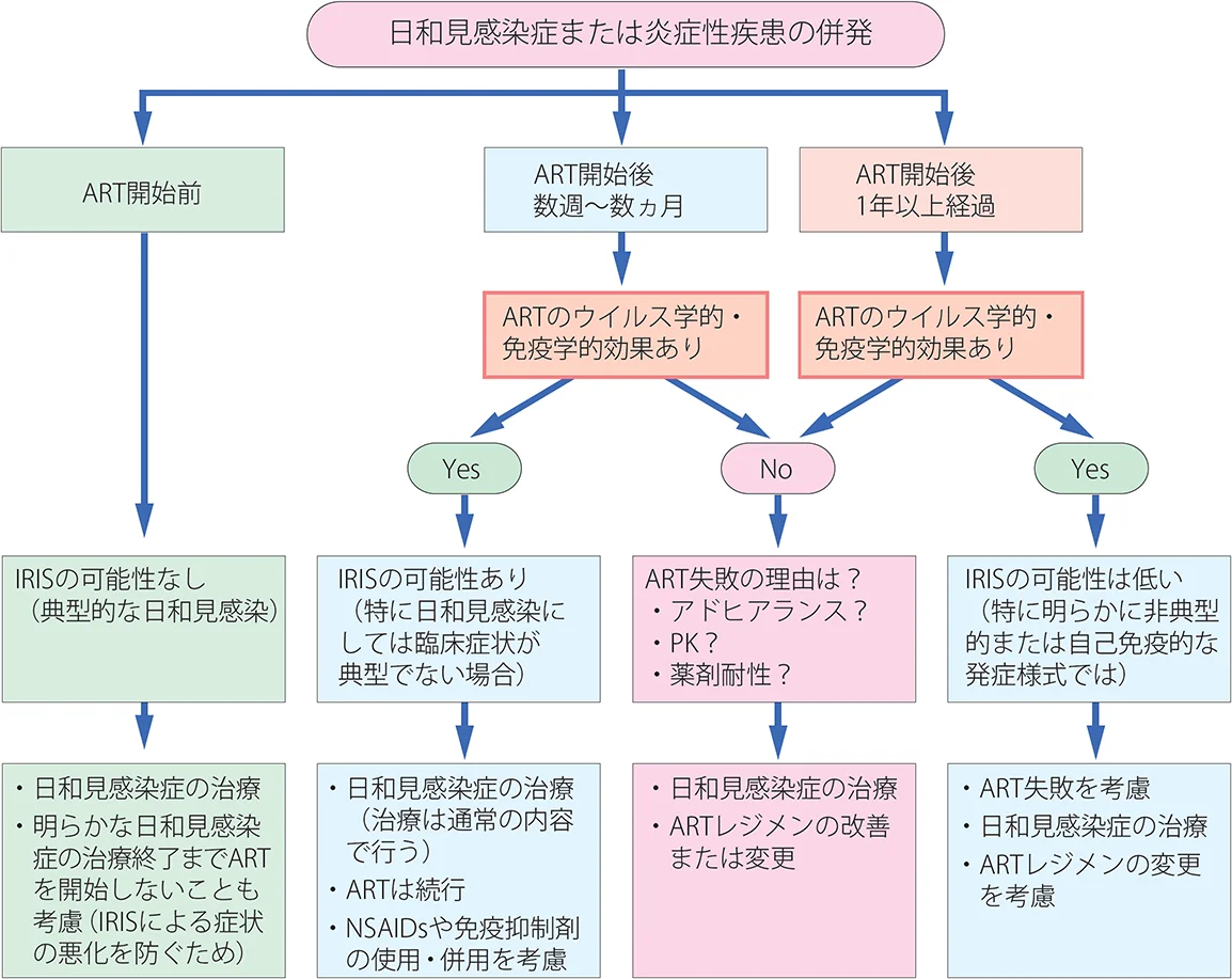 日和見感染症または炎症性疾患の併発が発生した場合の対応を表したフロー図。ART開始前ならばIRISの可能性なし（典型的な日和見感染）とし、日和見感染症の治療と、明らかな日和見感染症の治療終了までARTを開始しないことも考慮する（IRISによる症状の悪化を防ぐため）。ART開始後から数週〜数ヶ月ならARTのウイルス学的・免疫学的効果ありかどうかを確認し、そうでない場合、IRISの可能性あり（特に日和見感染にしては臨床症状が典型でない場合）とし、日和見感染症の治療（治療は通常の内容）とARTを続行し、NSAIDsや免疫抑制剤の使用・併用を考慮する。ARTのウイルス学的・免疫学的効果がなかった場合、ART失敗の理由（アドヒアランス？PK？薬剤耐性？）を検討し、日和見感染症の治療とARTレジメの改善または変更を行う。ART開始後一年以上経過している場合も同様にARTのウイルス学的・免疫学的効果があるかどうかを確認し、効果がない場合はART開始後数週〜数ヶ月の時のARTのウイルス学的・免疫学的効果がなかった場合と同じ対応をとる。ARTのウイルス学的・免疫学的効果がある場合、IRISの可能性は低い（特に明らかに非典型的または自己免疫的な発症形式では）ため、ART失敗とARTレジメの変更を考慮し、日和見感染症の治療を行う。