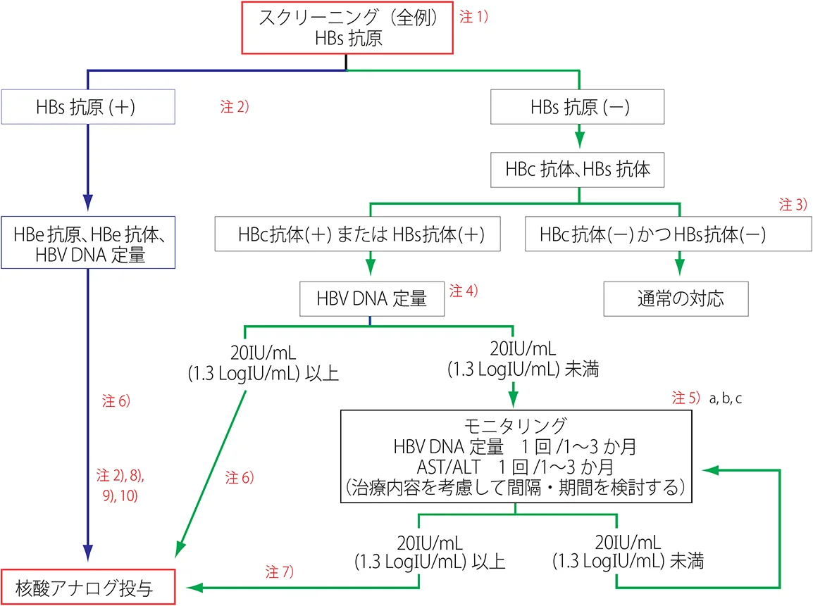 B型肝炎対策の方式を示したフロー図。「スクリーニング（全例）Hbs抗原（注1）」から二つに分かれ、「HBs抗原（＋）」の場合（注2）、「HBe抗原、HBe抗体、HBV DNA定量」へ進み、「核酸アナログ投与」を行う（注2,6,8,9,10）。「HBs抗原（＋）」の場合、「HBc抗体、HBs抗体」へ進み、結果によって分岐する。「HBc抗体（ー）かつHBs抗体（ー）」の場合（注3）「通常の対応」を行う。「HBc抗体（＋）またはHBs抗体（＋）」の場合、「HBV DNA定量（注4）」へ進み、結果によって分岐する。「20 IU/mL（1.3 LogIU/mL）以上」の場合、「核酸アナログ投与」を行う（注6）。「20 IU/mL（1.3 LogIU/mL）未満」の場合、「モニタリング HBV DNA定量 1回/1～3か月 AST/ALT 1回/1～3か月（治療内容を考慮して間隔・期間を検討する）」へ進む（注5 a,b,c）。「20 IU/mL（1.3 LogIU/mL）未満」の場合、「20 IU/mL（1.3 LogIU/mL）以上」になるまでモニタリングを繰り返し、条件を満たしたら「核酸アナログ投与」を行う（注7）。